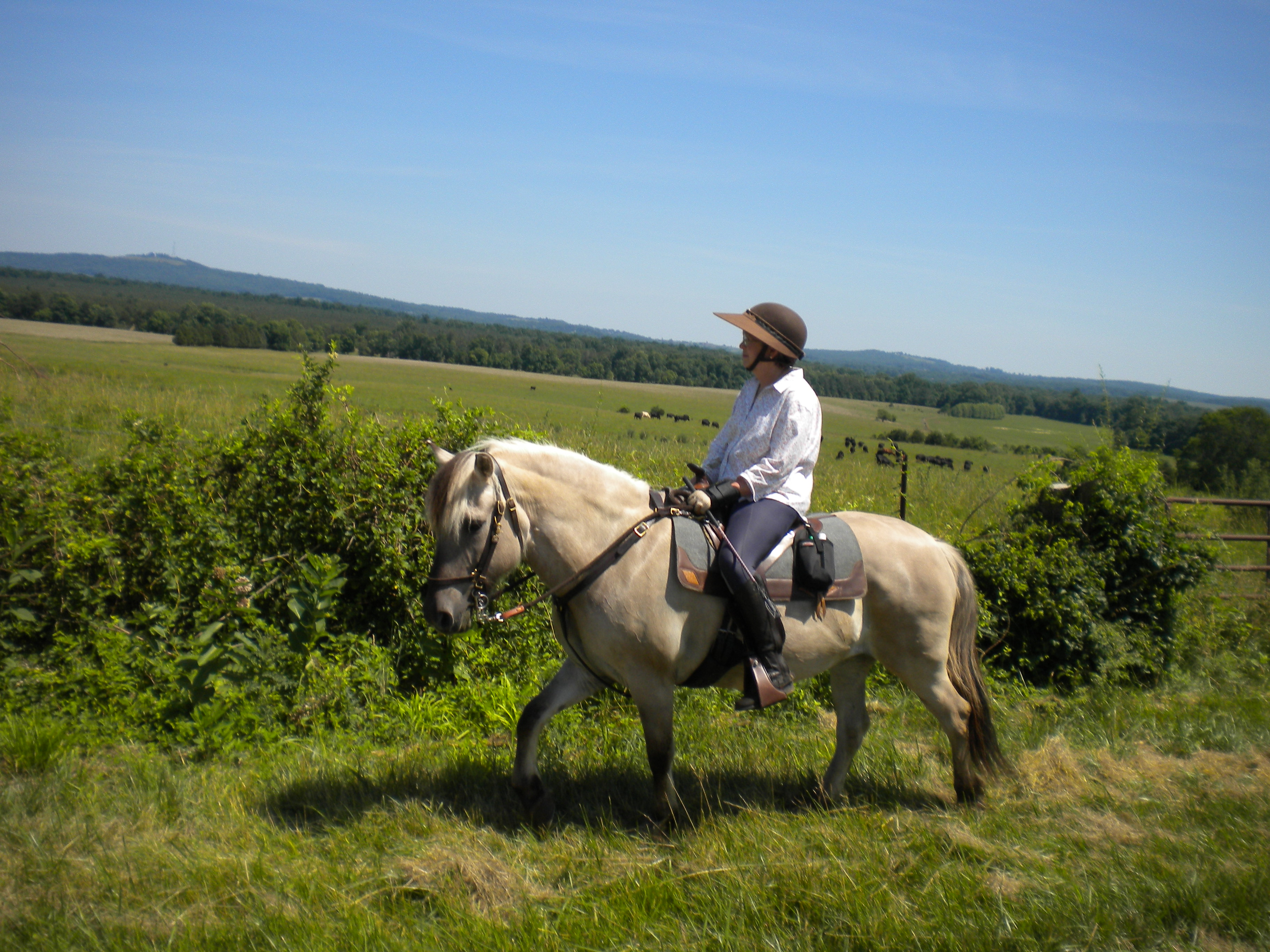 Trails and Land Use Virginia Horse Council
